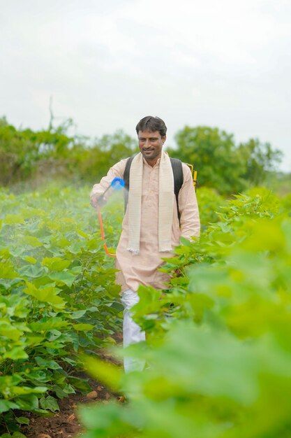 A farmer applying biocontrol with a backpack sprayer in a cotton field.