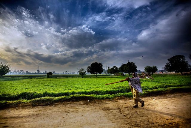 A farmer walks an Indian field under monsoon cloud — the soil he stands on tells a 9:3:1 story.