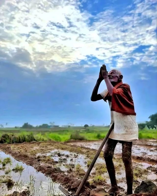 A farmer in a moment of stillness by a paddy field at sunrise — heritage anchor.