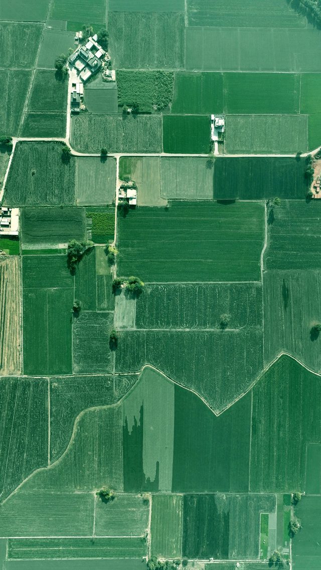 Aerial Punjab fields — the geographic scale of Indian agriculture and its transition opportunity.