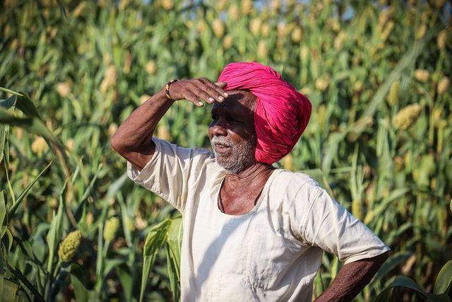 A Maharashtra farmer in a red turban scanning his crop — the Doctor of Soil model is built around this moment of judgement.