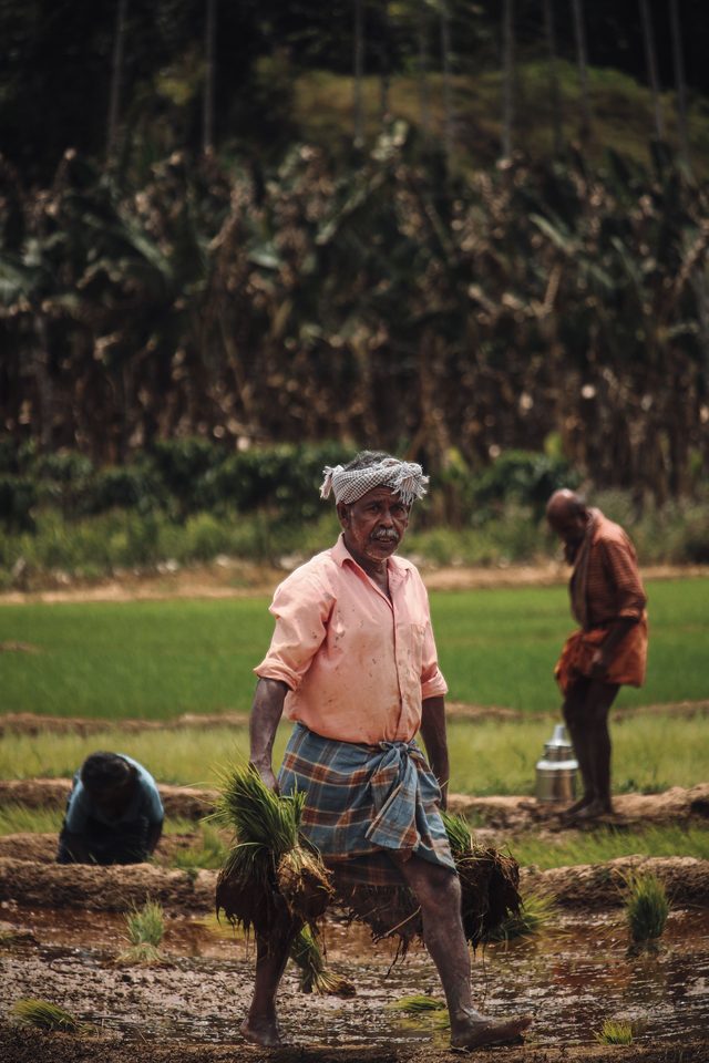 Elderly farmers near Wayanad — Karnataka highlands & plantation belt.