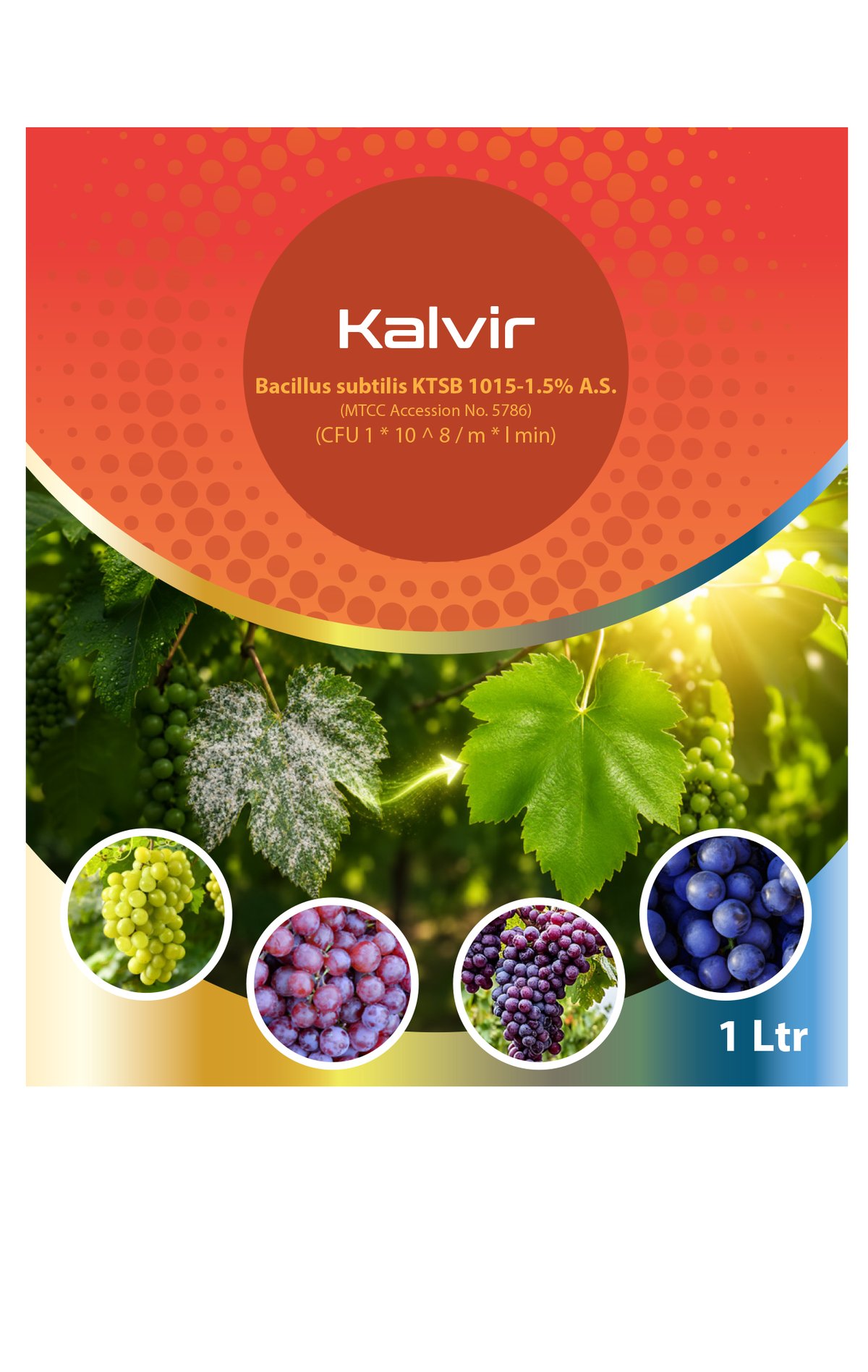Kalvir — front of label