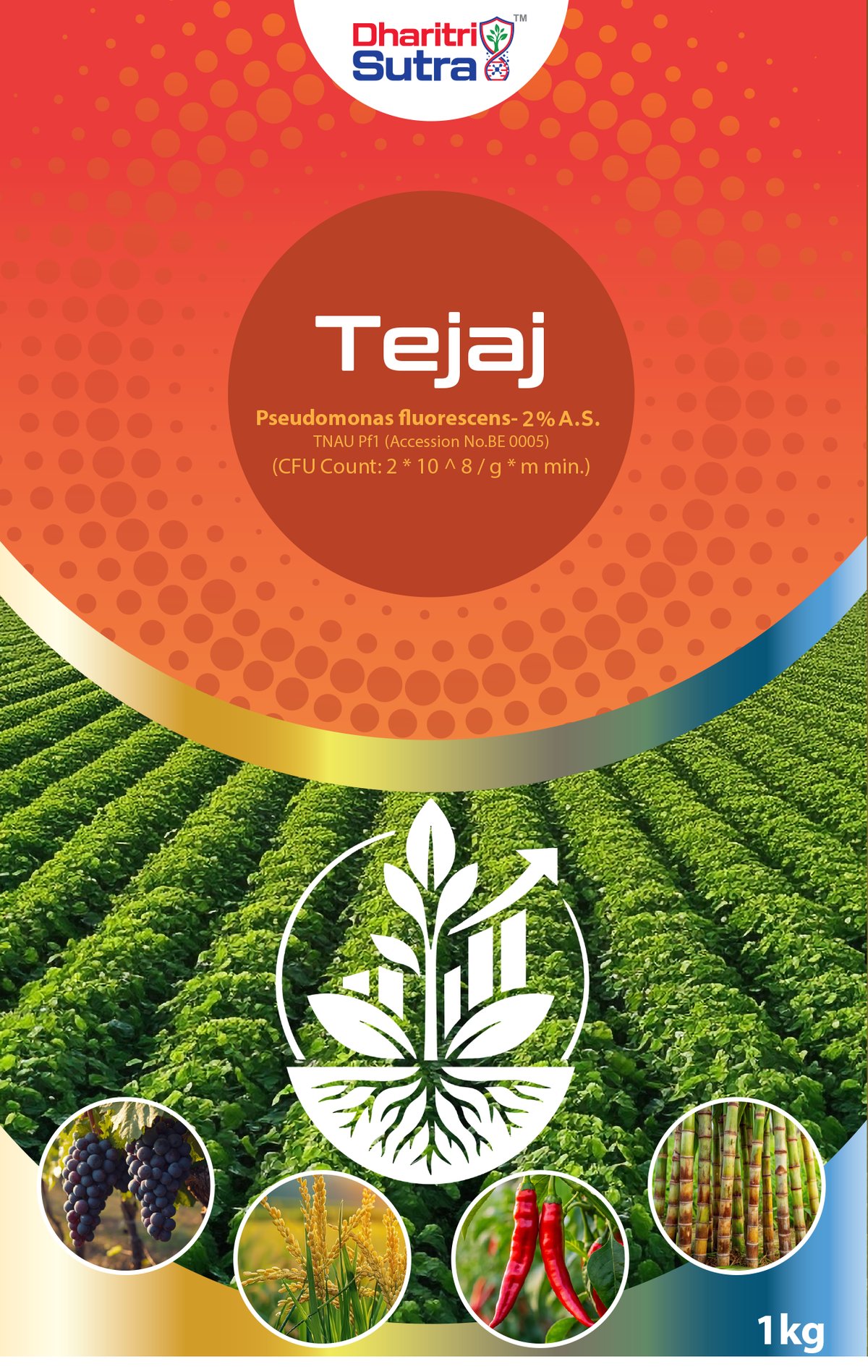 Tejaj — front of label