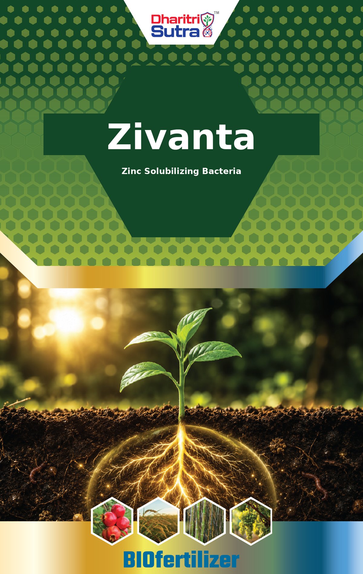 Zivanta — front of label