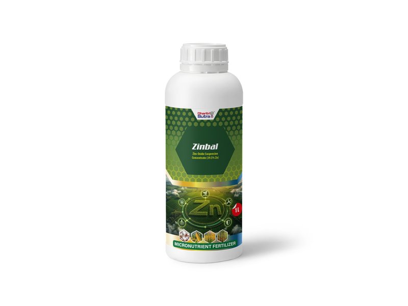 Zinbal — WSF · Micronutrient mockup